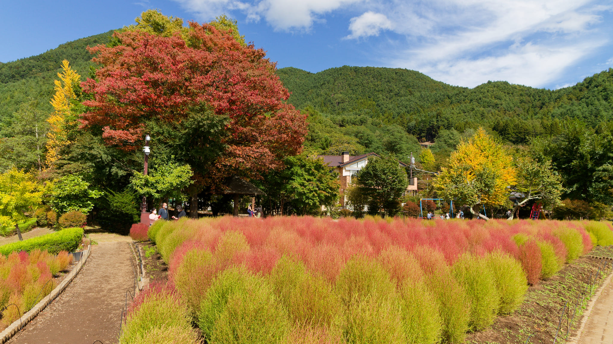 03-Mt Fuji (7) Oishi Park.jpg